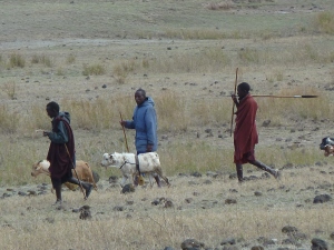 Maasai people in Tanzania