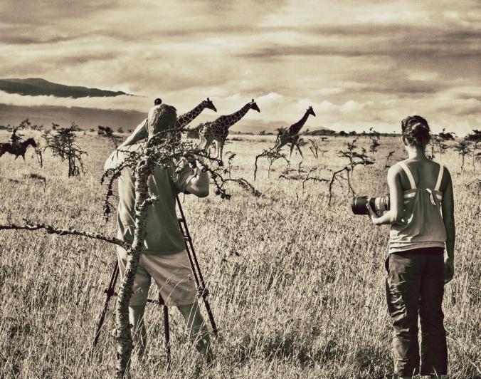Filming giraffes in Kenya